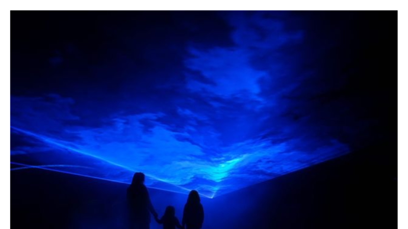 Immerse Yourself in the Mesmerizing World of WATERLICHT at Water Street Tampa"