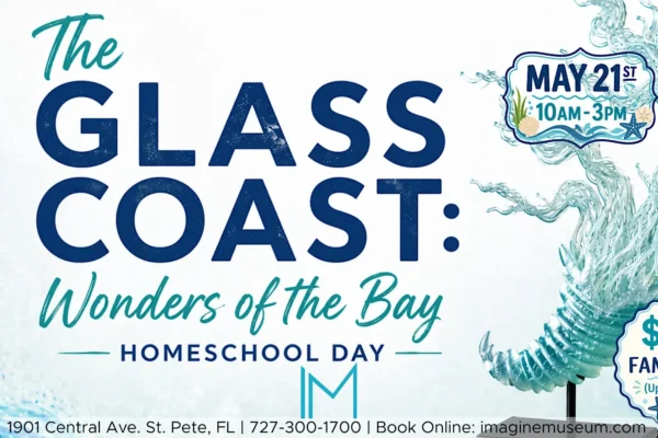 Tampa Bay Connects