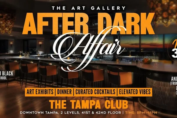 Tampa Bay Connects
