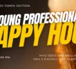 Tampa Bay Connects