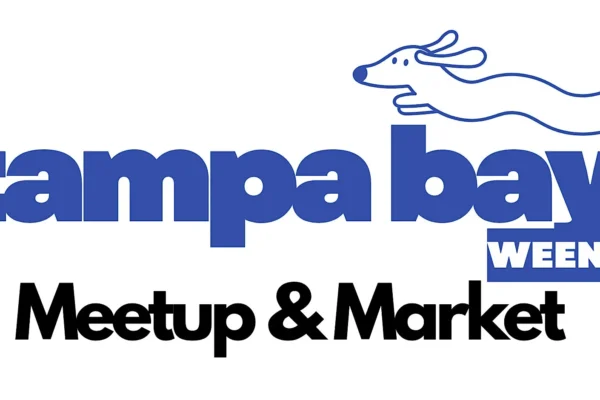Tampa Bay Connects