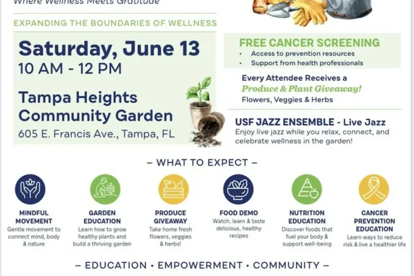 Tampa Bay Connects