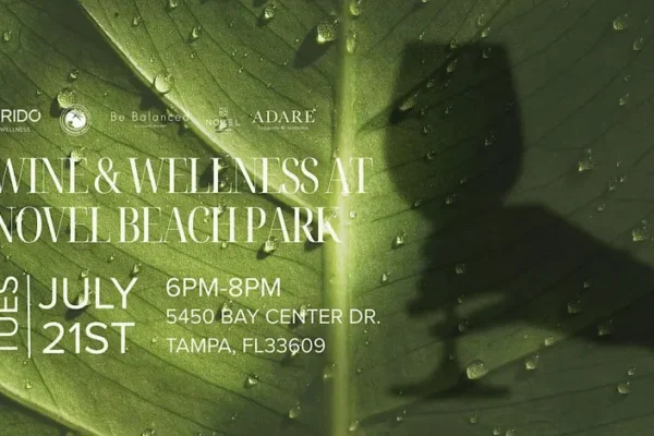 Tampa Bay Connects