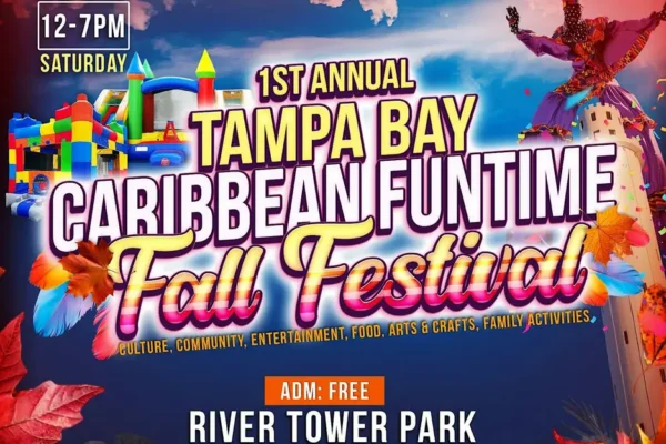 Tampa Bay Connects
