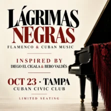 Tampa Bay Connects