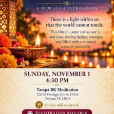 Tampa Bay Connects