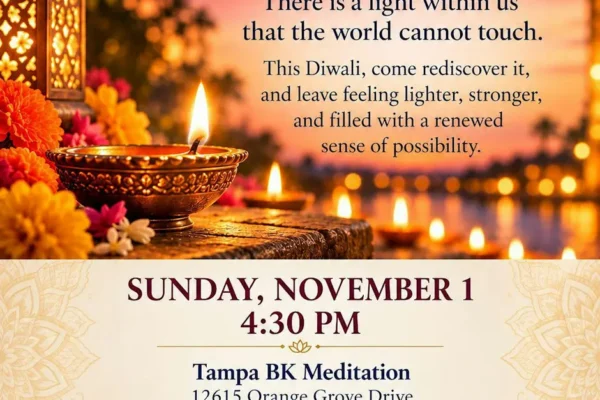Tampa Bay Connects